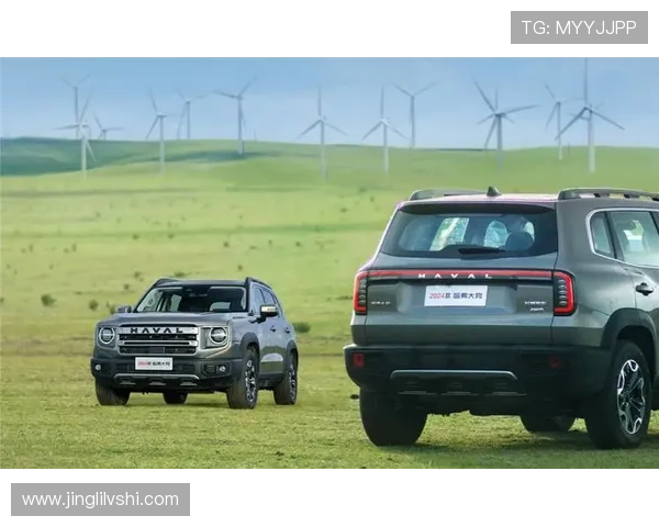 12.39万元起，2024款哈弗大狗上市，全新2.0T+9DCT