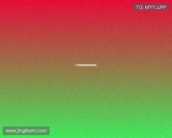 12吨第五条支腿，吊友自己焊上...